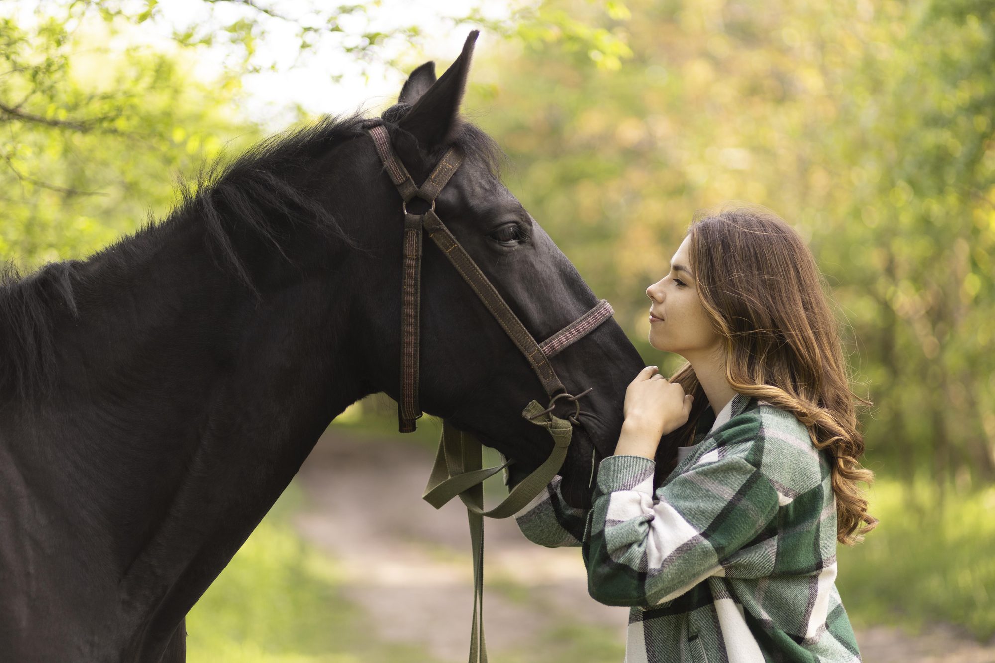 An owner resting their forehead against their horse